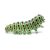 Papo Caterpillar Toy - Realistic Insect Figure