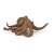Papo CSEVEGŐ CSIGA FIGURA octopus figurine, realistic detailed model, brown color, for kids, educational toy