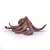 Papo CSEVEGŐ CSIGA FIGURA octopus figurine, side view, realistic detailed model, brown color, for kids, educational toy