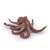 Papo CSEVEGŐ CSIGA FIGURA octopus figurine, side view, realistic detailed model, brown color, for kids, educational toy