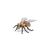 Papo Insect Model - Honey Bee Figurine for Kids
