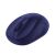 2.4GHz/Bluetooth v5.2 Dual-Mode Wireless Mouse, 1600/1200/1000dpi, Blue-Black 59212728
