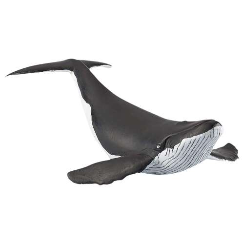 Papo púpos bálna figurája