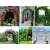 GardLov 240x140x38cm black metal garden arch, collage of different usage examples