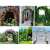 GardLov 240x140x38cm black metal garden arch, collage of different usage examples