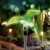 Home MX 618K Solar Hummingbird Garden Stake Light at night
