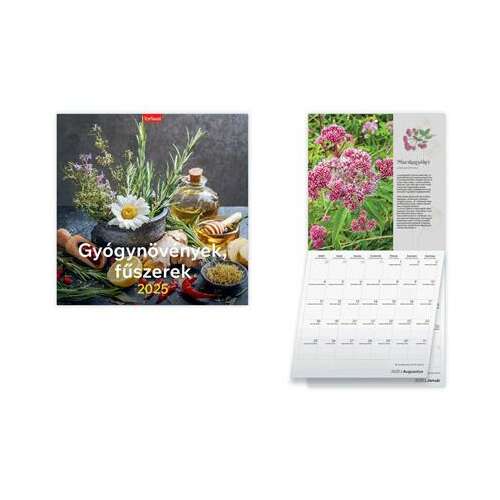 TOPTIMER Calendar, perete, TOPTIMER, Cărți poștale (24T9800-16A)