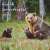 TOPTIMER Family Planner Wall Calendar 2021, with a picture of a mother bear and her cubs