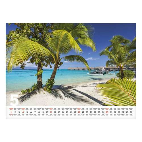 Calendar TOPTIMER Beach 2023, pagina mai, plajă tropicală cu palmieri