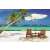 TOPTIMER Beach wall calendar, June page, tropical beach with palm trees and chairs