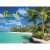 TOPTIMER Beach 2022 wall calendar, cover, tropical beach with palm trees
