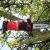 Einhell GE-HC 18 Li T cordless pole saw cutting branches