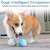 Minge interactivă pentru animale de companie Cheerble Ball W1 SE 59661169}