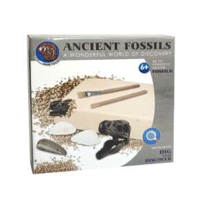 Ancient Fossils Dig Kit, a fun and educational toy for kids to discover fossils and learn about dinosaurs - Science & Discovery Toy