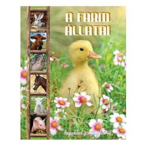 Farm állatai - Képekkel a világ körül 46863460 