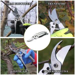 XTline bypass pruning shears with 22 cm length, made of SK5 steel, with shock resistant feature, suitable for branches up to 19 mm thick, used for pruning fruit trees, roses, grapevines, and other plants - Garden Tool & Machine