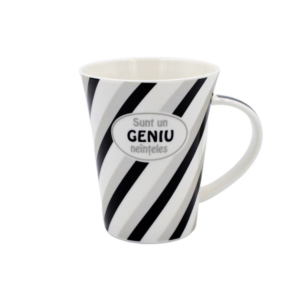 Personalized Porcelain Mug with "Misunderstood GENIUS" message