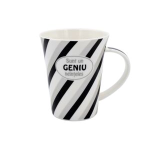 Porcelain mug with 'Misunderstood Genius' message - Nekupto