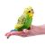 Plush Budgerigar Toy in Hand, Small Stuffed Parrot for Kids