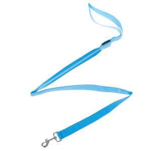 Blue LED dog leash with a silver hook - Rodent Care