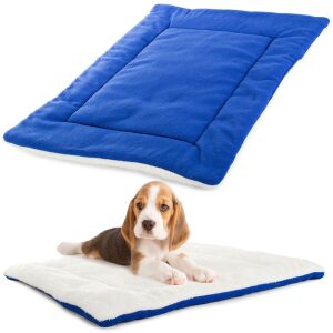 Cute beagle puppy on white and blue dog mat - Pet Care