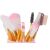 Profesionálna sada štetcov na make-up, 12 kusov 75403056
