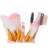 Profesionálna sada štetcov na make-up, 12 kusov 75403056