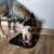 Purlov 19378 Anti-stress Dog/Cat Licking Mat 75413180