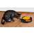 Cat playing with a rotating mouse toy, black and yellow interactive cat toy