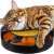 Cat playing with a rotating mouse toy, black and yellow interactive cat toy