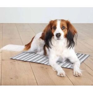 Pies chłodzi się na macie chłodzącej Trixie - Trixie Produkt chłodzący dla zwierząt domowych