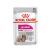 ROYAL CANIN CCN EXIGENT LOAF - mokra karma dla psa dorosłego - 12x85g 62812674