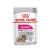 ROYAL CANIN CCN EXIGENT LOAF, Nassfutter für ausgewachsene Hunde, 12 x 85 g 62812674