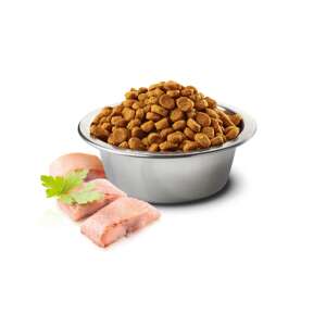 N&D Ocean Heringe és narancs recept száraz kutyaeledel, hering darabokkal - N&D