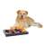 Trixie Dog Activity Sakk játék Golden Retrieverrel, interaktív fejtörő játék kutyáknak
