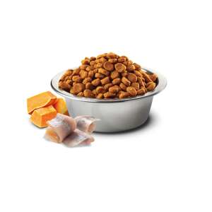 N&D Ocean tőkehal, sütőtök&narancs recept Száraz kutyaeledel granulátum - N&D