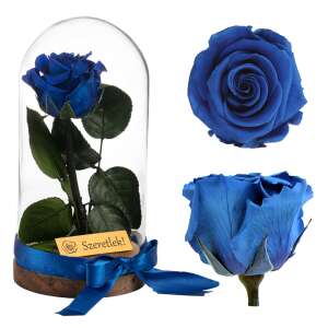 Örökrózsa tartósított kék rózsa üvegbúrában kollázs, tartós ajándék - Ajándék ötlet Valentin-napra