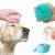 Pet grooming with silicone brush and shampoo dispenser in use