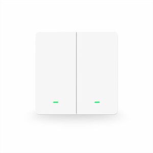 Gosund SW9 Smart Light Switch 2-Gang Front View - Light Switch