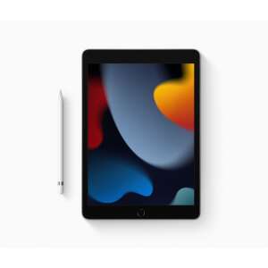 Apple 10.2-inch iPad 9 Cellular 256GB - Silver 61644095 Tablet