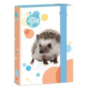 Cuki Állatok A5-ös füzetbox sünis mintával - Ars Una