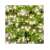 Somogyi LC 768/WW LED cluster string lights, warm white, 7.5m, decorating a Christmas tree