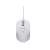 Asus MU101C optical mouse, white, wired, 3200 DPI, top view