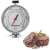 Westmark 1290 oven thermometer with steaks, showing temperature range