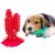 Dog chewing cactus toothbrush for dental hygiene