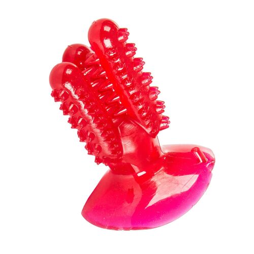 Cactus Dog Chew Toothbrush for Dogs