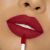 Kylie Matte Lip Kit, 403 Bite Me 61939615