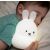 LED Nyuszi Night Light - Child Sleeping with Bunny Light