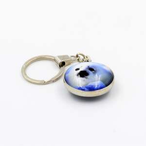 Stainless steel keychain with a seal image - Keychain