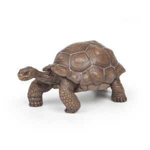 Detailed Papo Galapagos Giant Tortoise Toy Figure - Papo